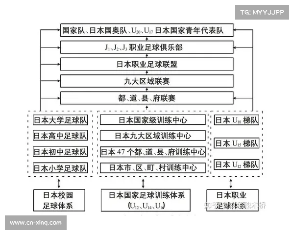 足球产业链条分析,从青训到职业经济效应评估